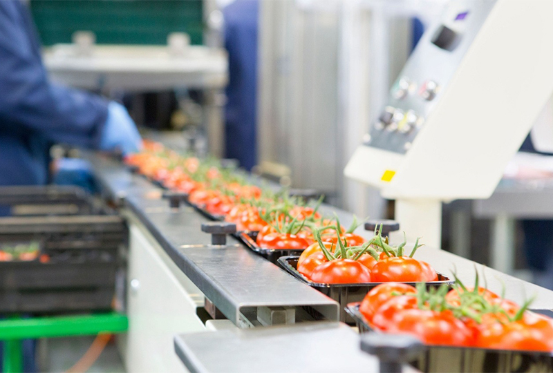 Food-Processing