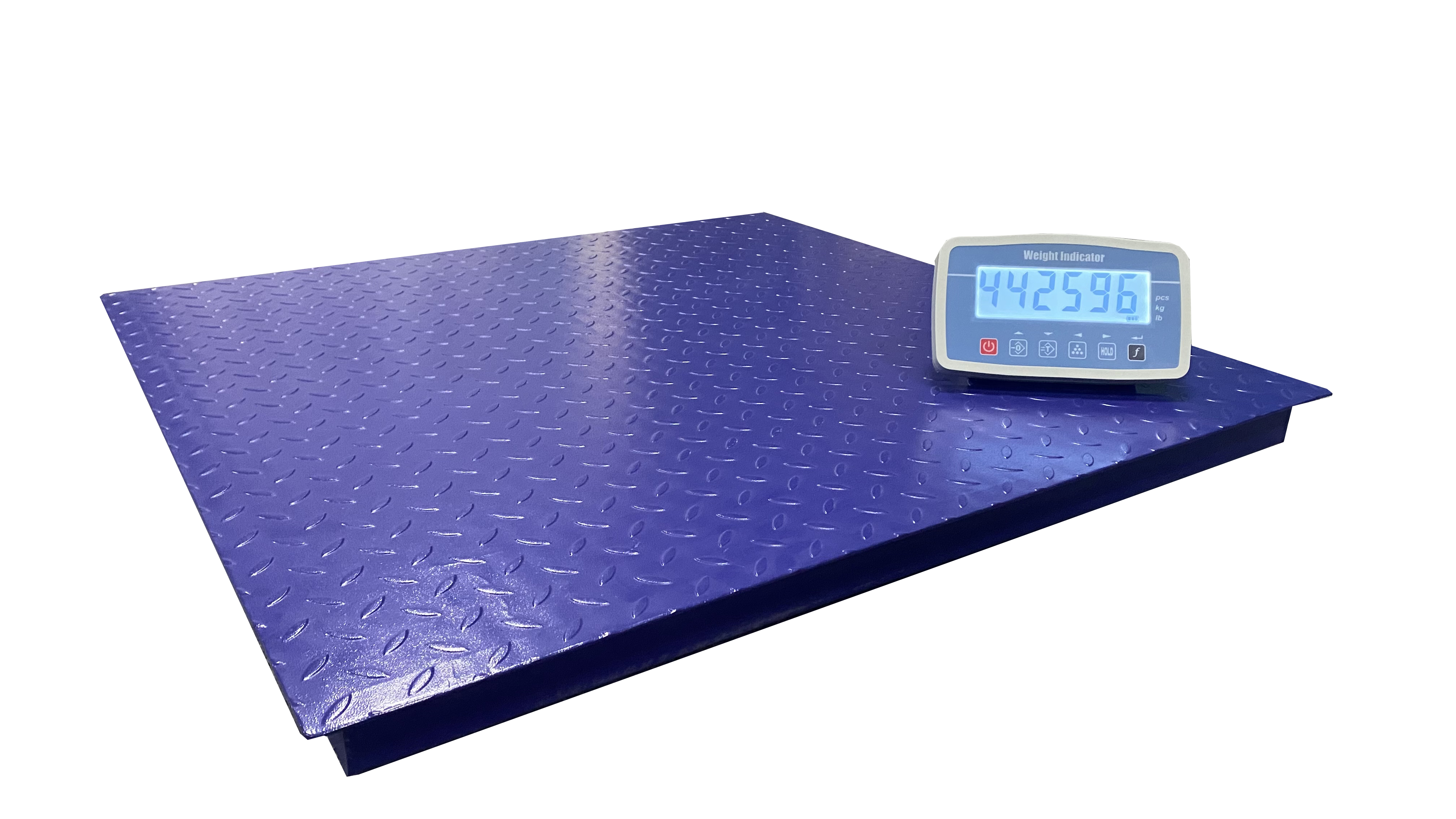 Floor Scale