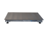 Stainless Steel Floor Scales