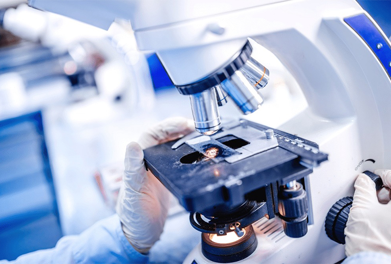 lab